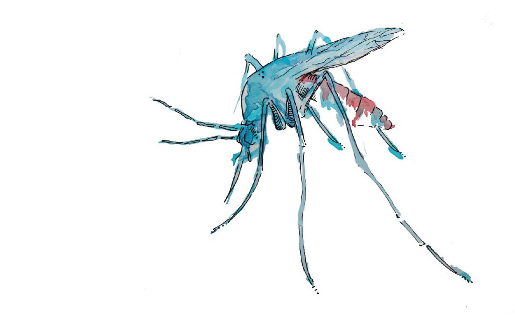 malaria_background_03